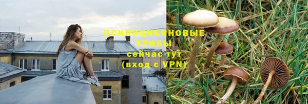 дурь Абдулино