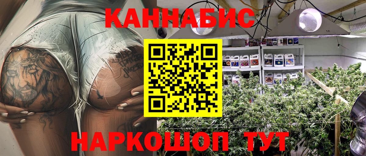 Бошки Шишки SATIVA & INDICA  Канабис индика  Вход с VPN  Кизилюрт  Бошки марихуана тримм 